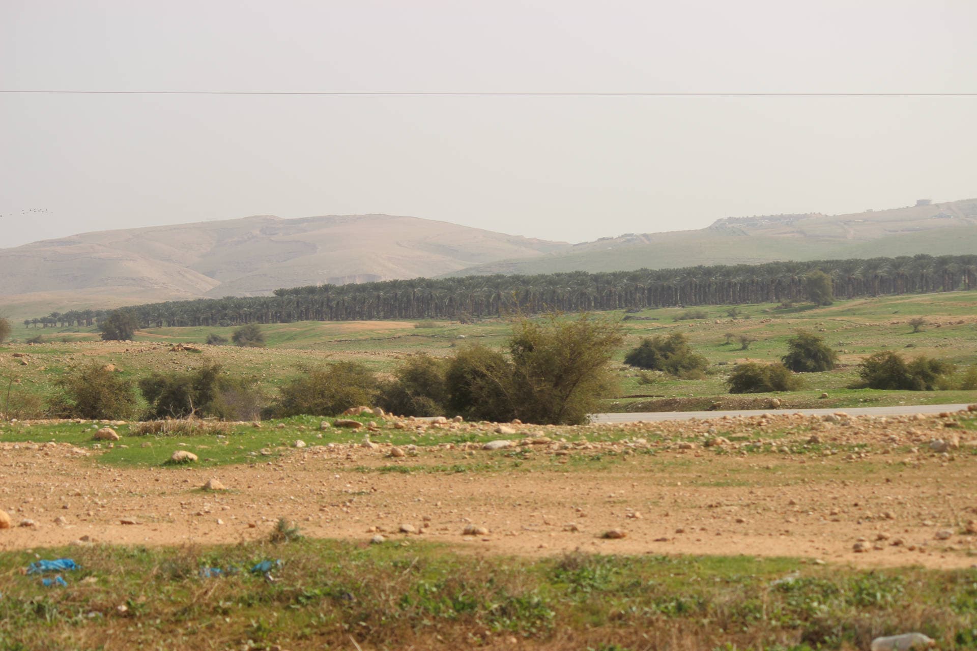 Valley of Achor - Green Desert